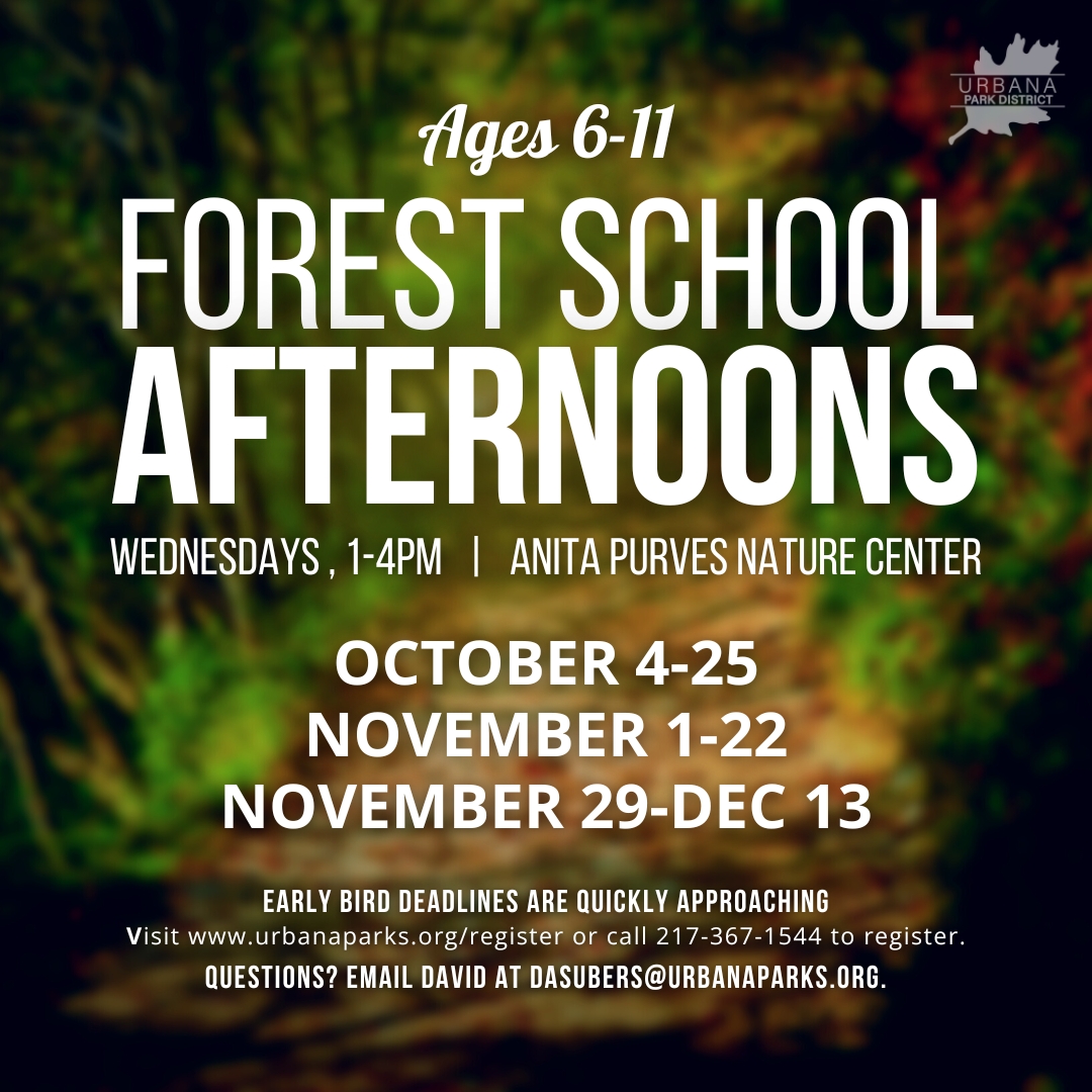 ForestSchoolAfternoons_Fall23