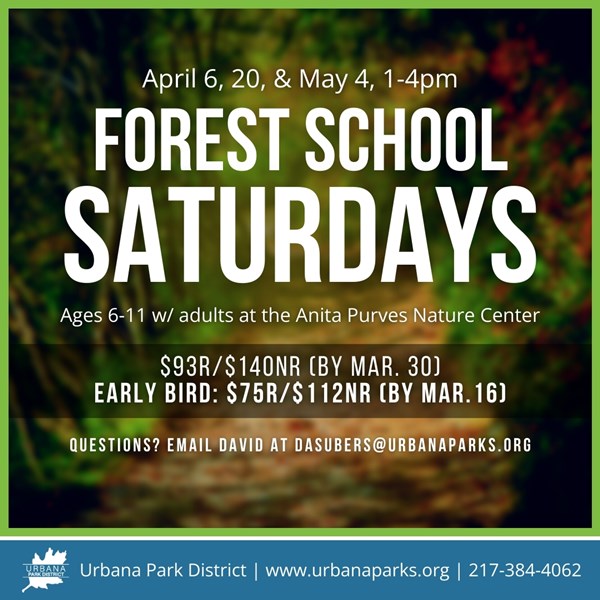 ForestSchoolStatudays_Apr.May24