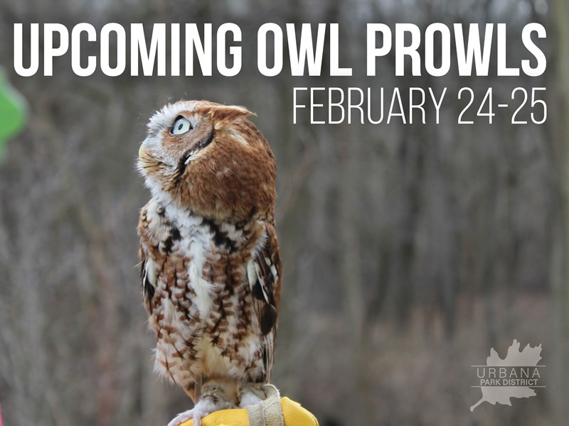 Upcoming_Owl_Prowls_square